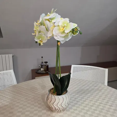 San Pietro Apartament *